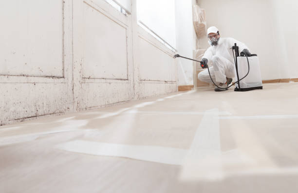 24/7 Emergency Mold Testing experts in Unionville, PA