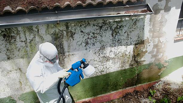 Top rated local Mold Remediation specialists in Unionville, PA